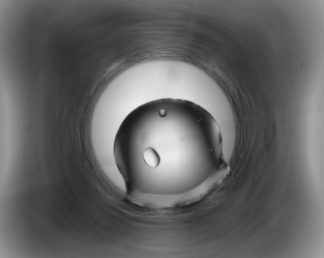 X0000086260260200704262001