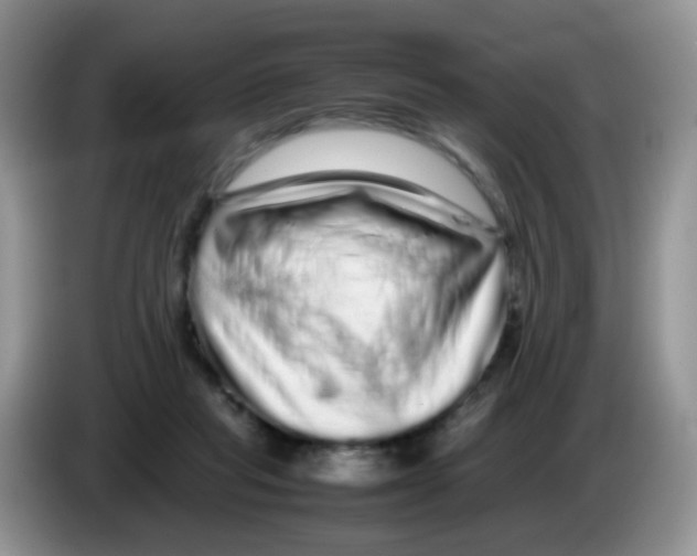 X0000086260261200704262001