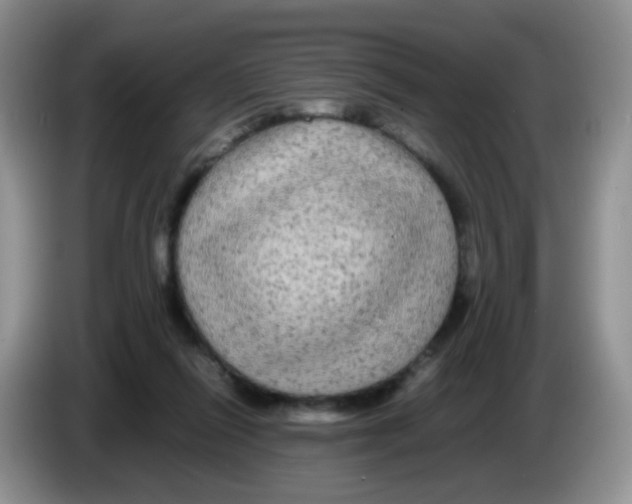 X0000086260262200704262001