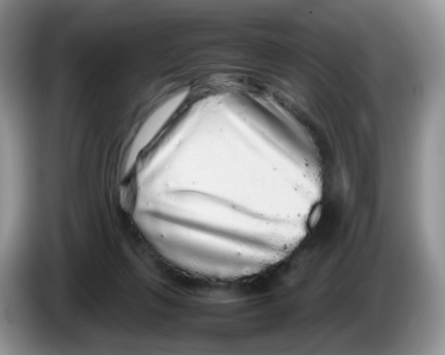 X0000086260263200704262001