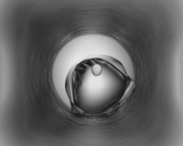 X0000086260264200704262001