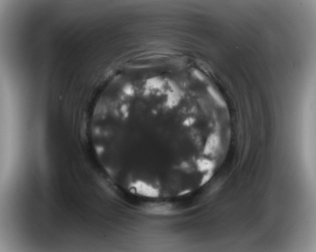 X0000086260266200704262001