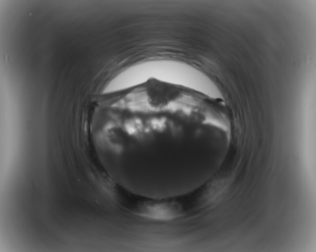 X0000086260267200704262002