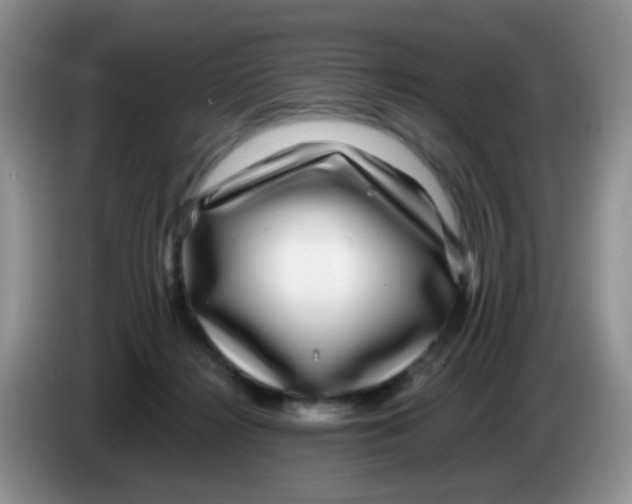 X0000086260268200704262002