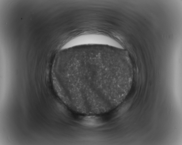 X0000086260269200704262002