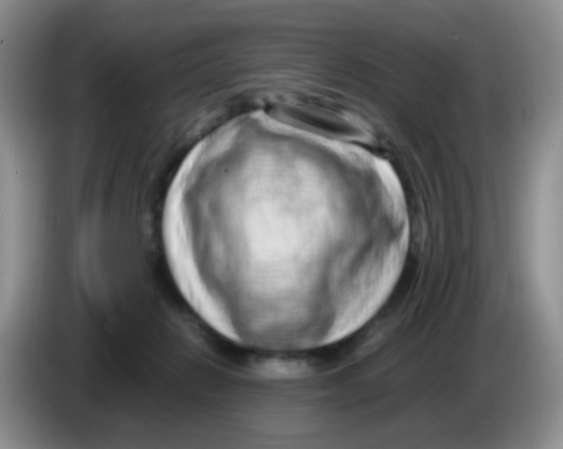 X0000086260270200704262002