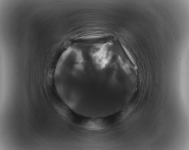 X0000086260271200704262002
