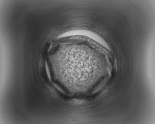 X0000086260272200704262002