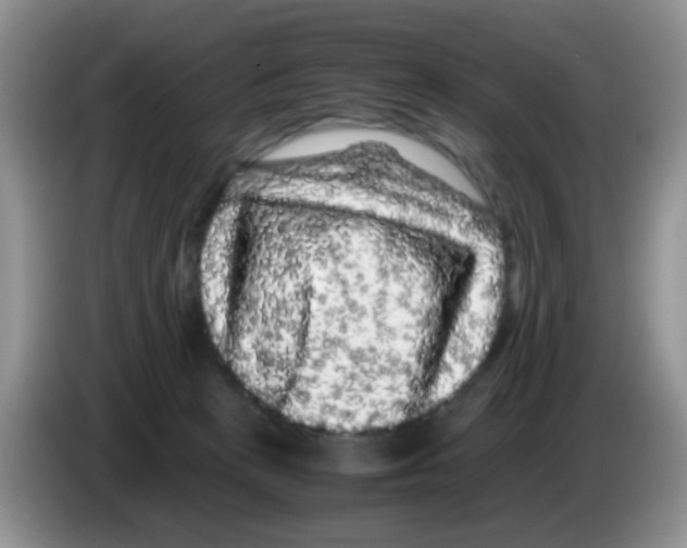 X0000086260273200704262002