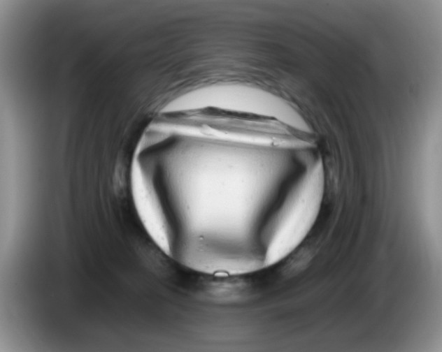 X0000086260274200704262002