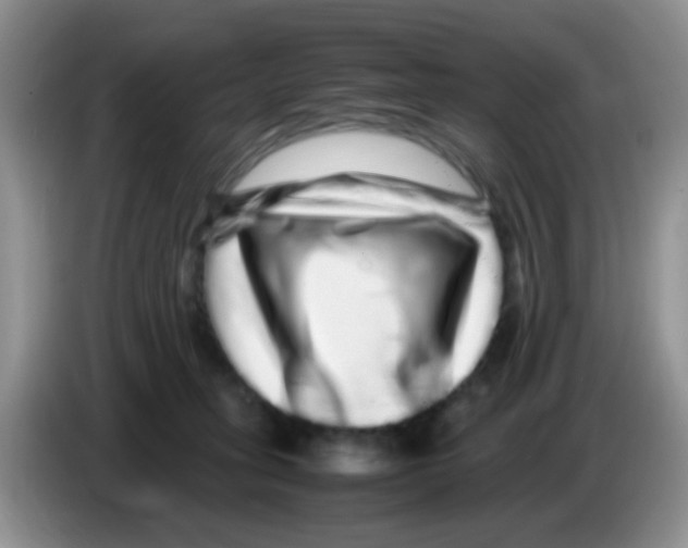 X0000086260275200704262002