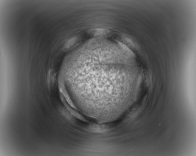 X0000086260276200704262002
