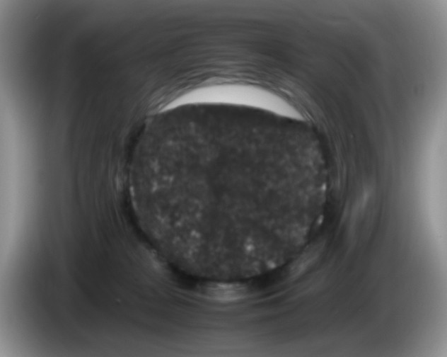 X0000086260277200704262002
