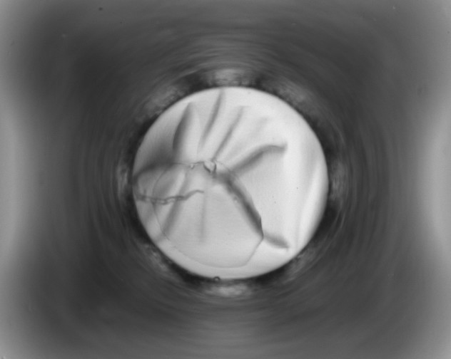 X0000086260278200704262002