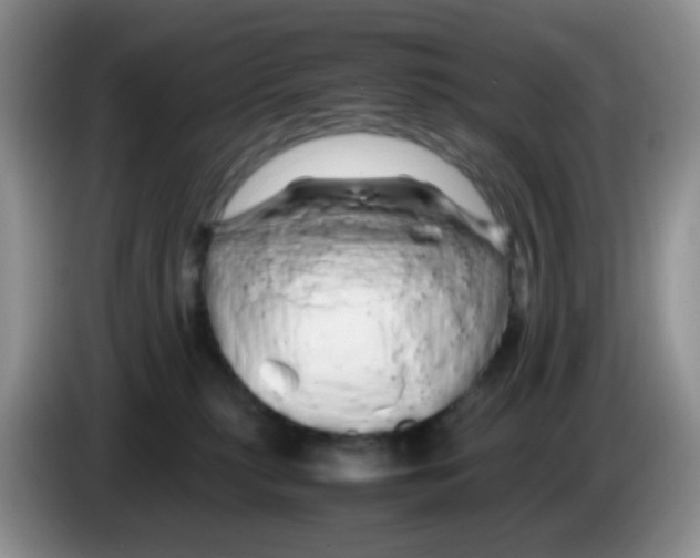 X0000086260279200704262002
