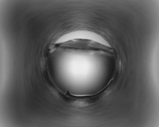 X0000086260280200704262002