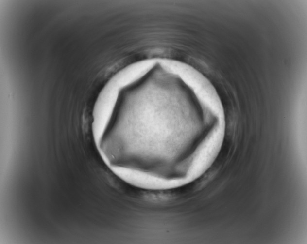 X0000086260282200704262002