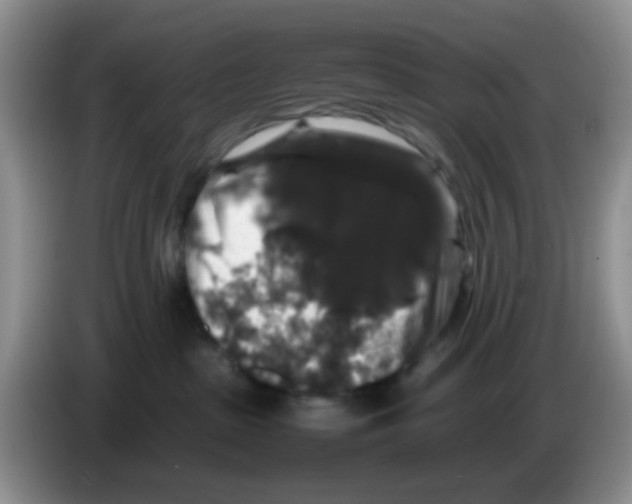 X0000086260285200704262002