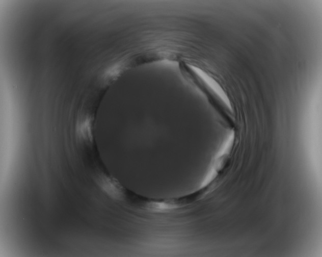 X0000086260286200704262002