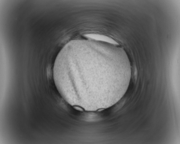 X0000086260287200704262002