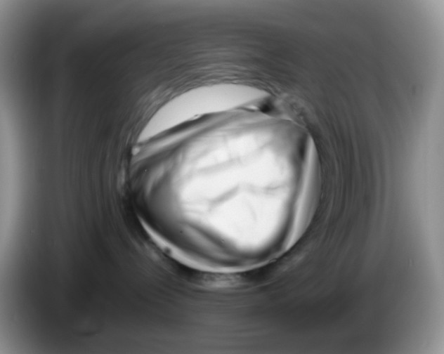 X0000086260288200704262002