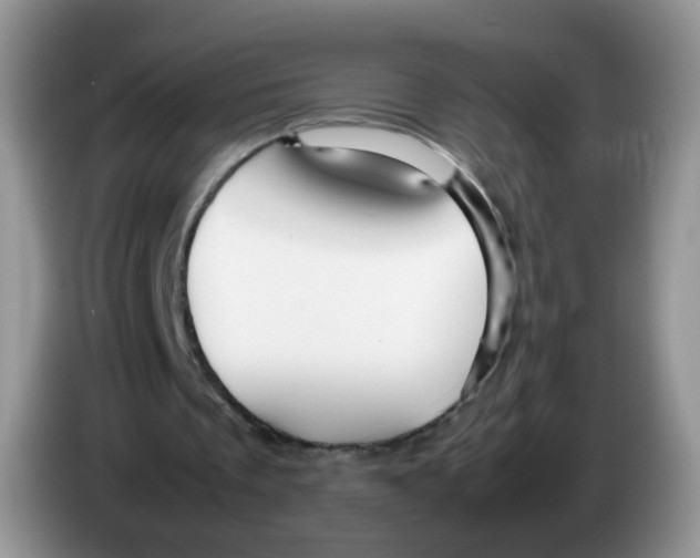 X0000086260289200704262001