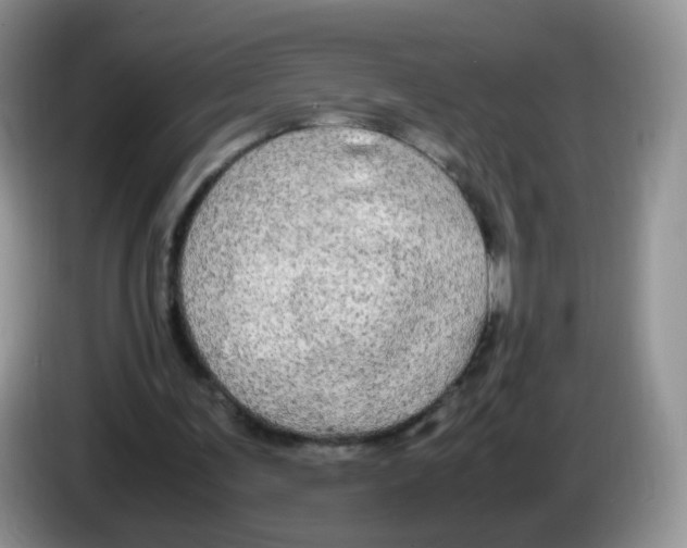 X0000086260291200704262001