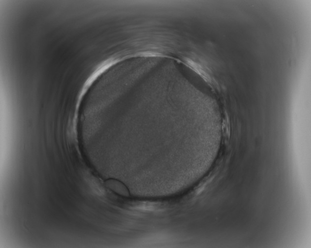 X0000086260292200704262001