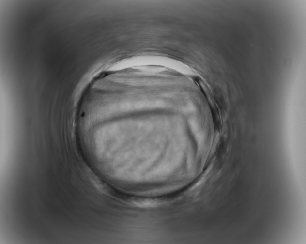 X0000086260293200704262001