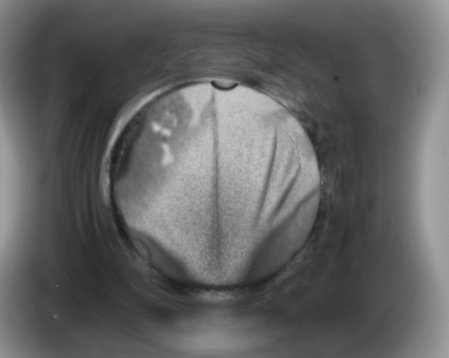 X0000086260294200704262001