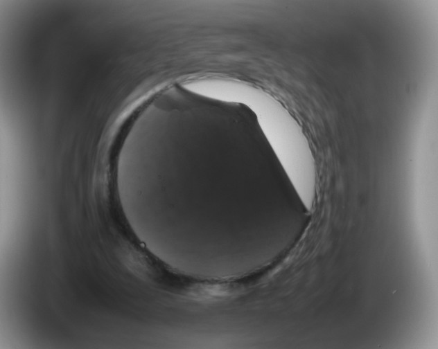 X0000086260295200704262001