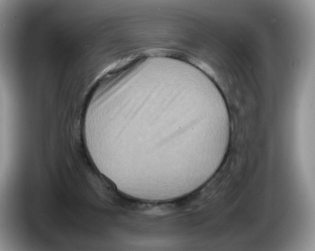 X0000086260297200704262001