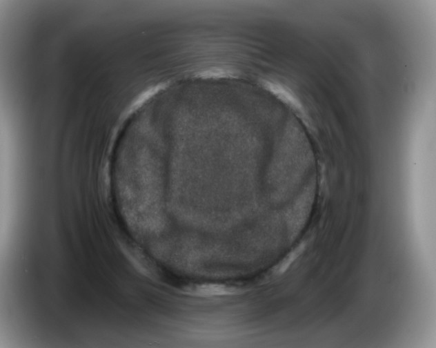X0000086260298200704262001