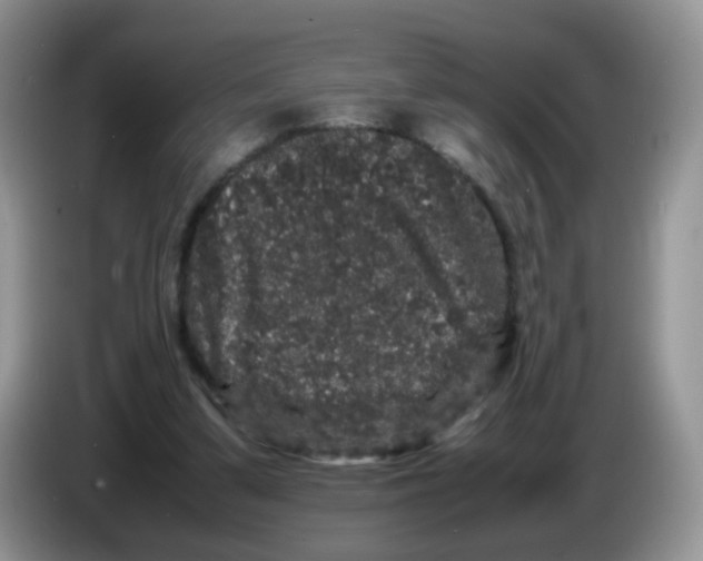 X0000086260299200704262001
