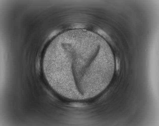 X0000086260300200704262001