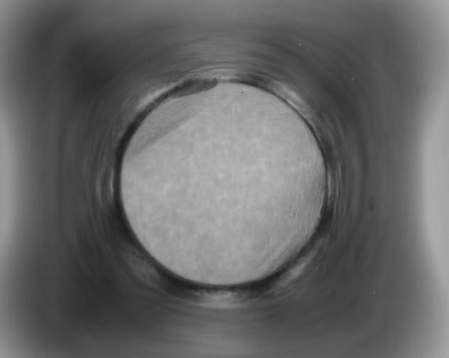 X0000086260301200704262001