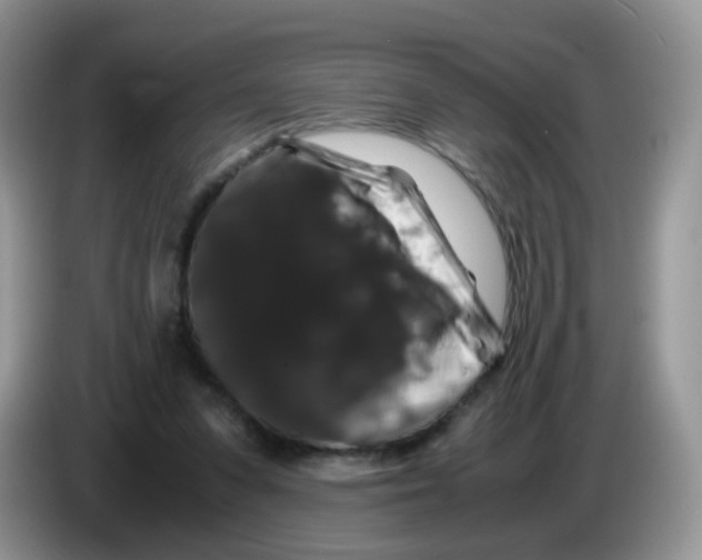 X0000086260303200704262001