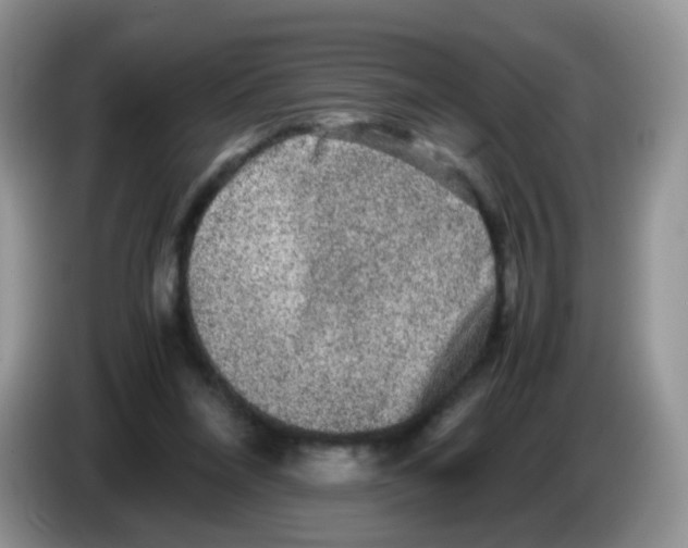 X0000086260304200704262001
