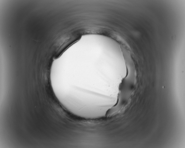 X0000086260305200704262001