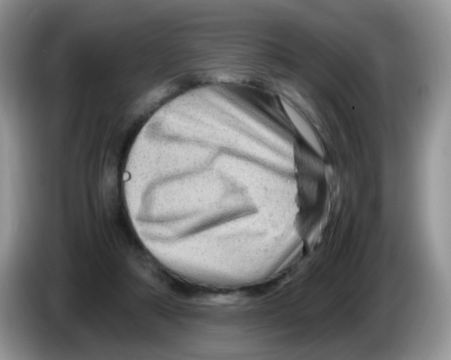 X0000086260306200704262001