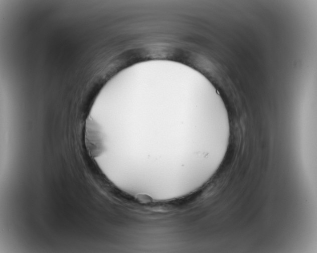 X0000086260307200704262001