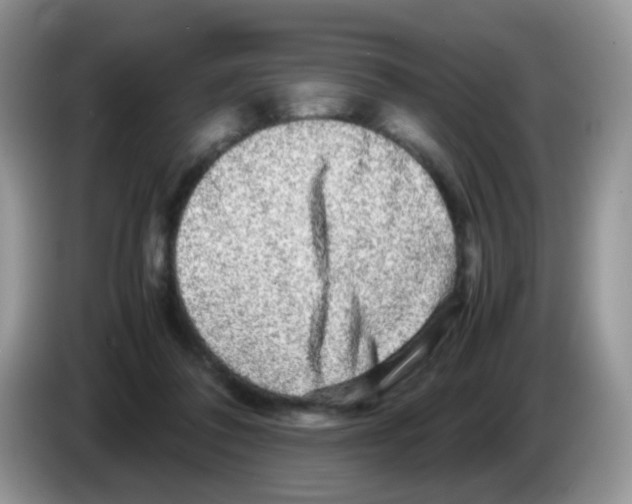 X0000086260308200704262001