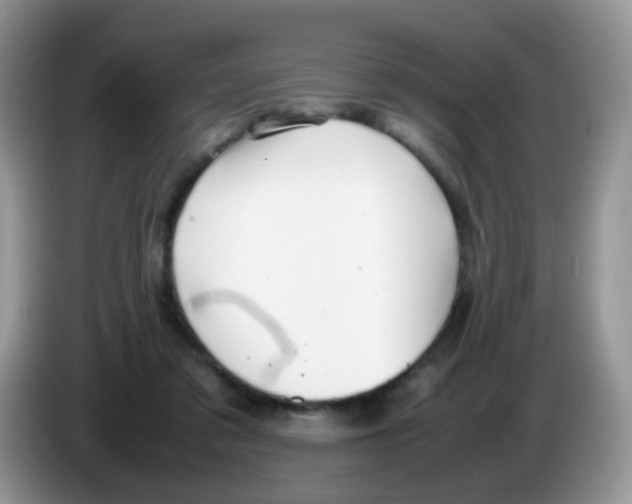 X0000086260309200704262001