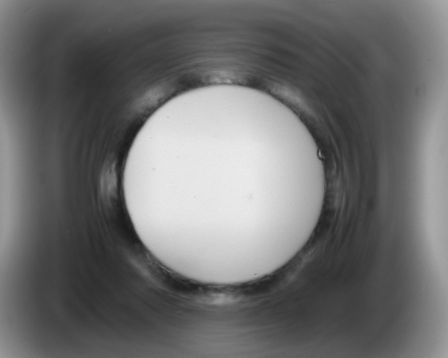 X0000086260310200704262001