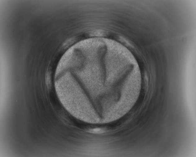 X0000086260312200704262001