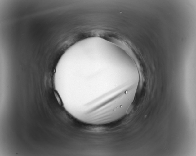 X0000086260313200704262001