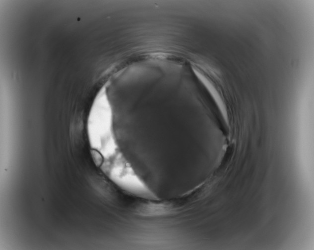 X0000086260314200704262001