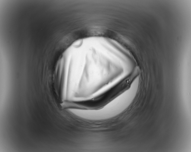 X0000086260315200704262001