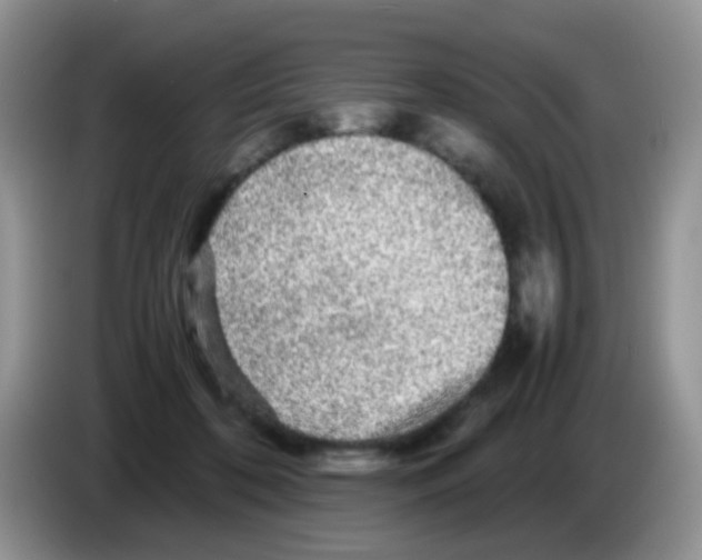 X0000086260316200704262001