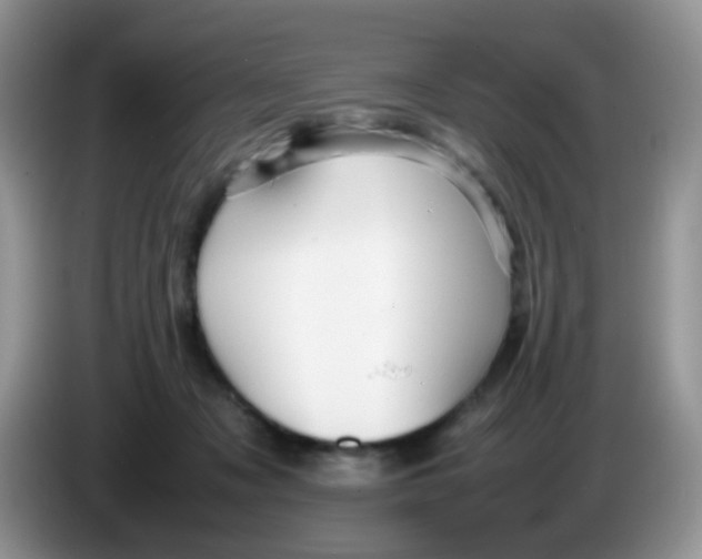 X0000086260317200704262001